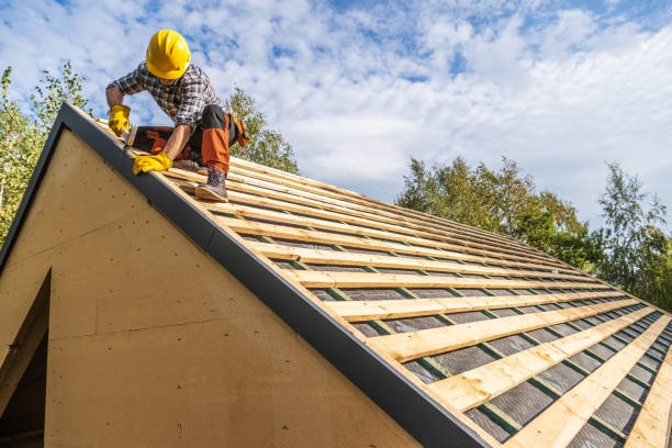 Best Roof Gutter Cleaning  in Spring Valley, WI
